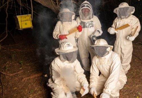 Una falegnameria in Kenya cambia la produzione del miele locale